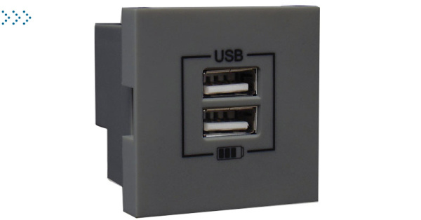 Двойная USB розетка, цвет серый Двойная USB розетка, цвет серый